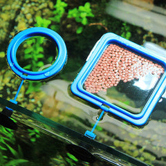 Aquarium Feeding Ring - HOW DO I BUY THIS