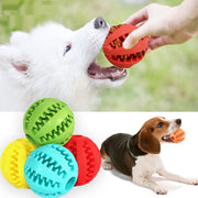 Dog Food Ball - HOW DO I BUY THIS