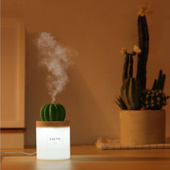 Cactus Humidifier - HOW DO I BUY THIS 625