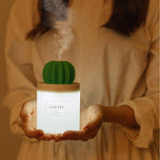 Cactus Humidifier - HOW DO I BUY THIS 625