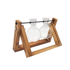 Hydroponic Terrarium - HOW DO I BUY THIS Plural 21x16cm