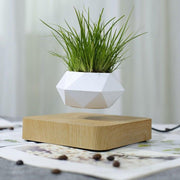 Levitating Air Bonsai Pot - HOW DO I BUY THIS