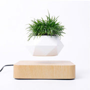 Levitating Air Bonsai Pot - HOW DO I BUY THIS