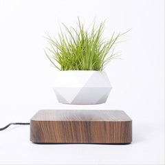 Levitating Air Bonsai Pot - HOW DO I BUY THIS Hit Modern / Walnut base / EU Plug