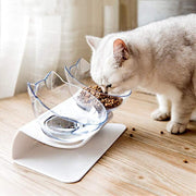 Non-Slip Double Pet Bowl - HOW DO I BUY THIS