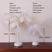 Novelty Feather Night Light - HOW DO I BUY THIS