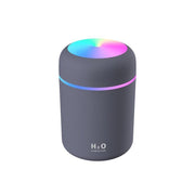 Portable Air Humidifier - HOW DO I BUY THIS Gray