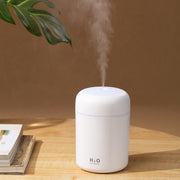 Portable Air Humidifier - HOW DO I BUY THIS